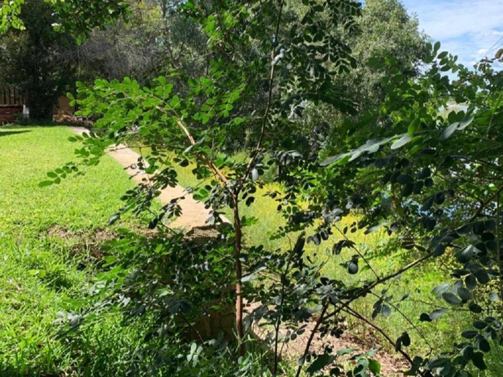 Juda Haus Lodge Katima Mulilo Kültér fotó